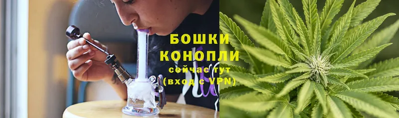 Конопля SATIVA & INDICA  Александровск 